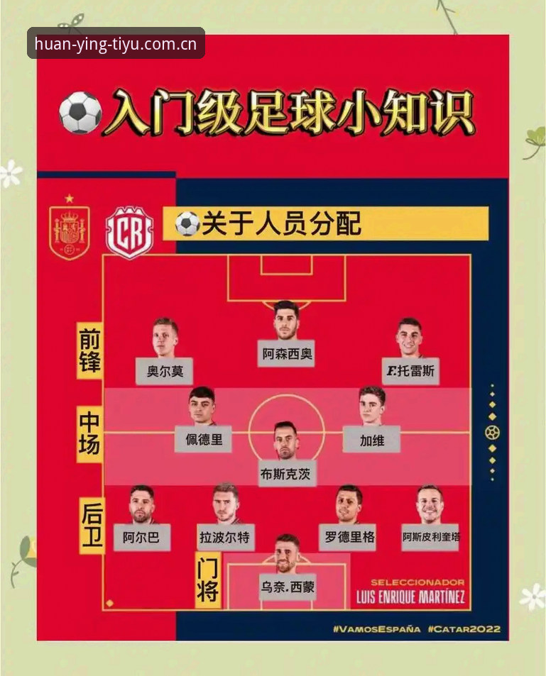 世界杯赛后看懂德尚战术思路的实用观赛技巧